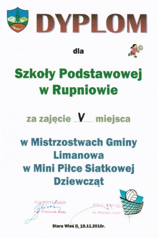 SIATKOWAa dz ms 4